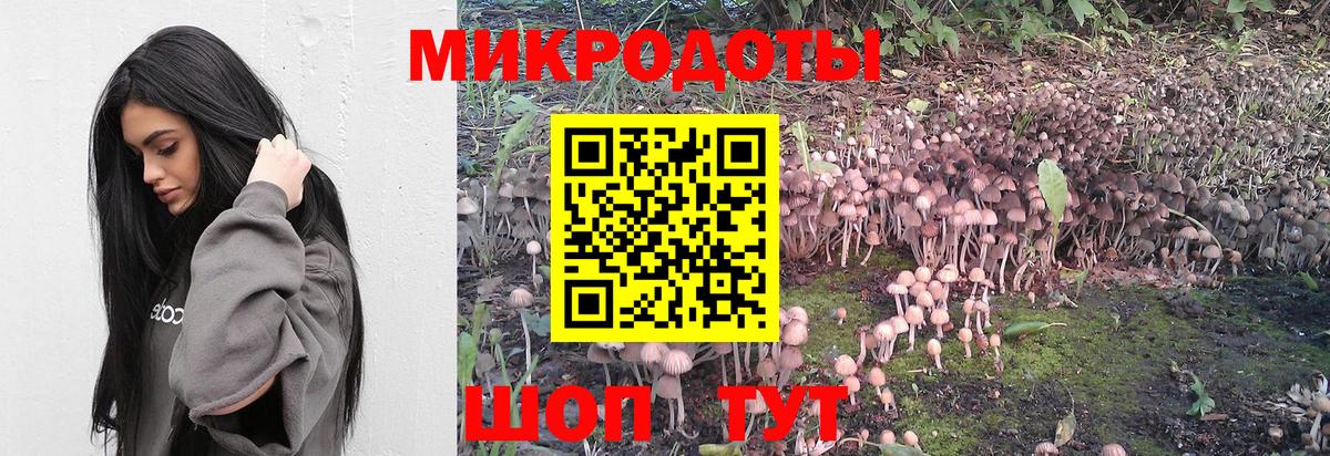Псилоцибиновые грибы Magic Shrooms Медногорск