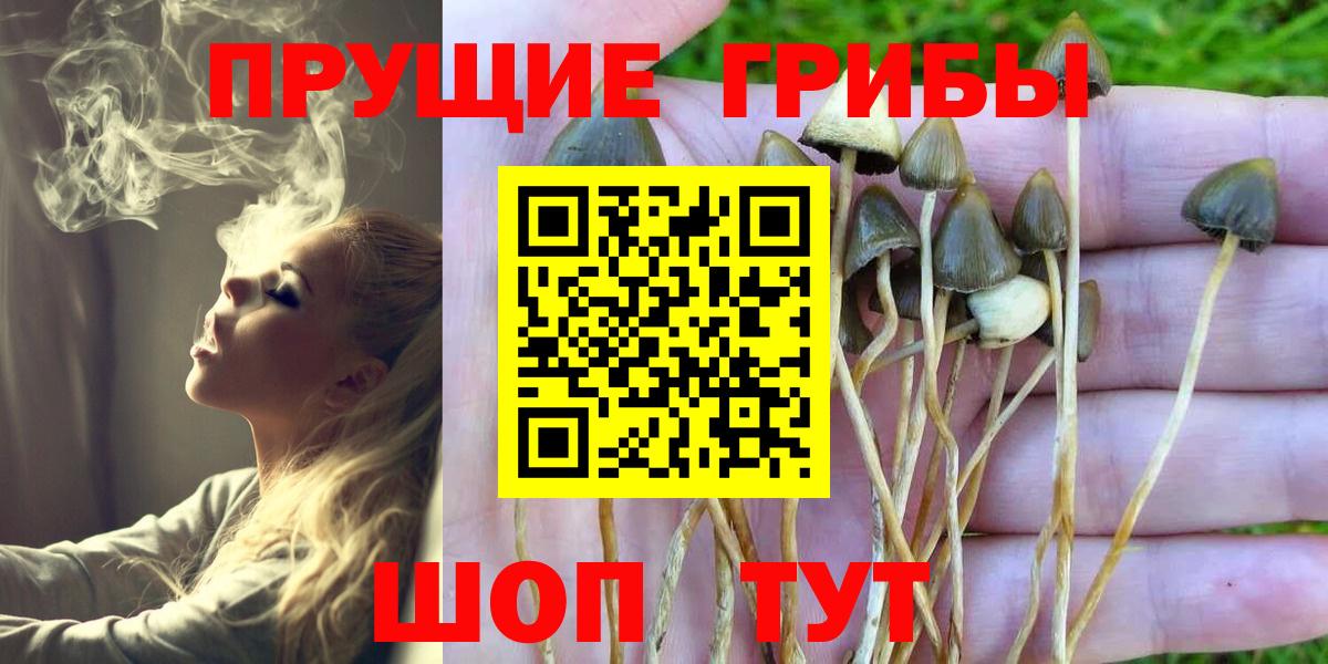 как найти наркотики  Вход с VPN  Медногорск  Галлюциногенные грибы Magic Shrooms 